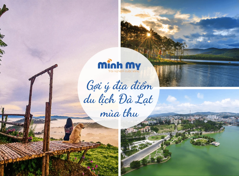 Đắm say mùa thu Đà Lạt - Mùa đẹp nhất trong năm