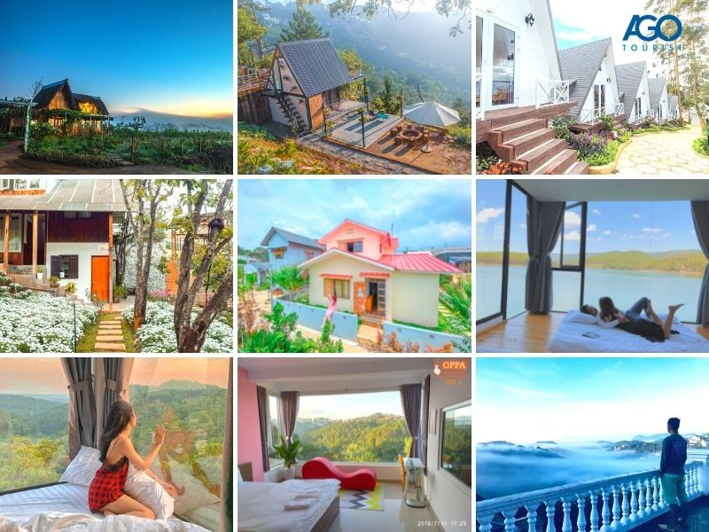 30 Căn Homestay Đà Lạt view bao đẹp có giá rẻ và gần trung tâm